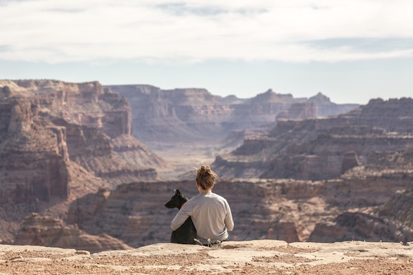 dog and his owner on the edge of a canyon